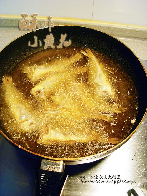 ��ըС�ƻ�������