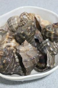 油爆海螺的做法