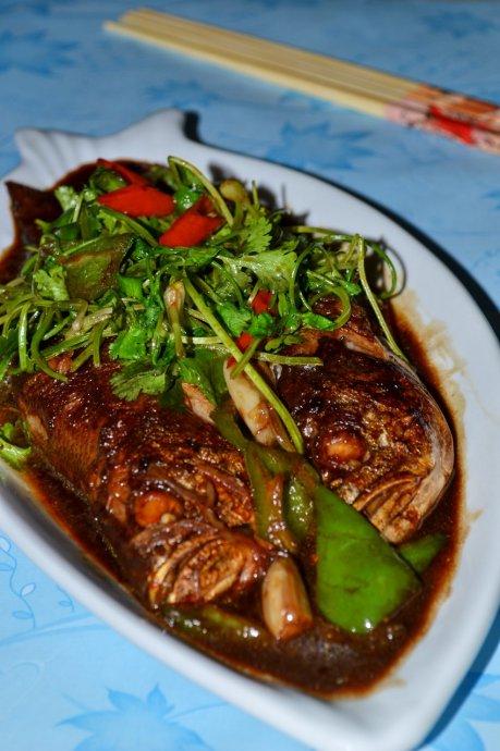 ���ջƻ��������