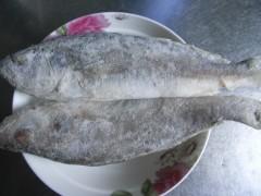 ���ջƻ��������