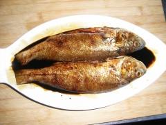 ���ջƻ��������