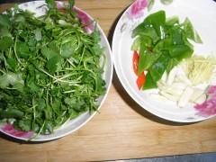 ���ջƻ��������