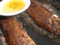 ���ջƻ��������