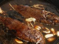 ���ջƻ��������