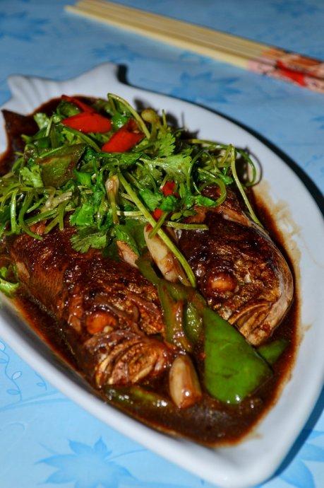 ���ջƻ��������