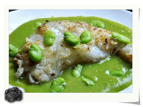 �㶹������������