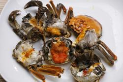 ʯ����˿�з�ҵ�����