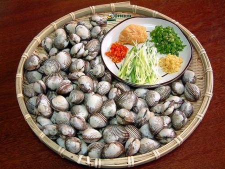 ����Ѫ�������