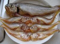 ����Ũ֭�����������