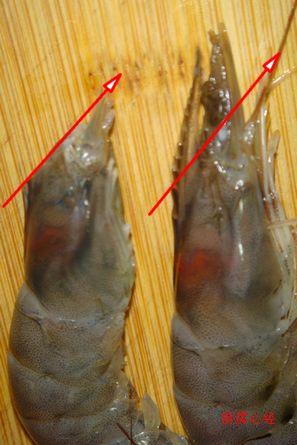 ��Ϻ�ײ�Ҷ������