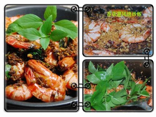 ��ݱܷ�����Ϻ������