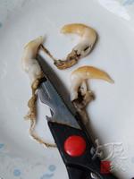 ������������������