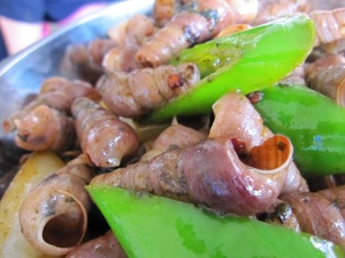 �������ݵ�����