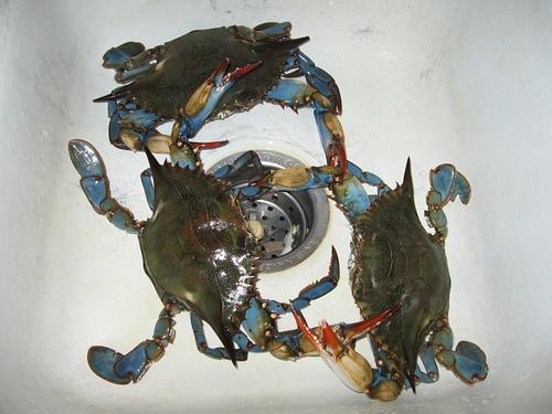 ������з������