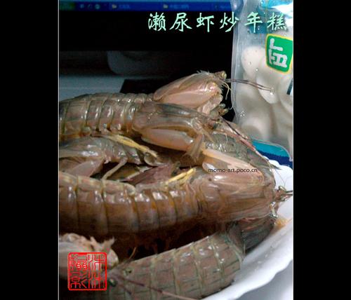 ����Ϻ����������