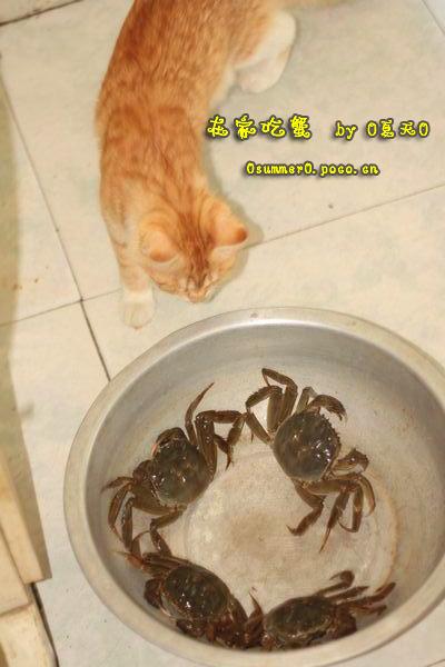 ��������բз������