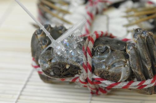 �����̽���з������