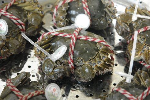 �����̽���з������