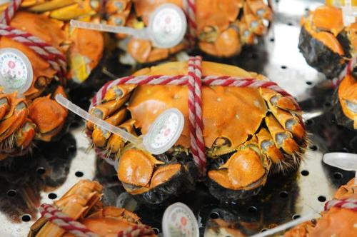 �����̽���з������