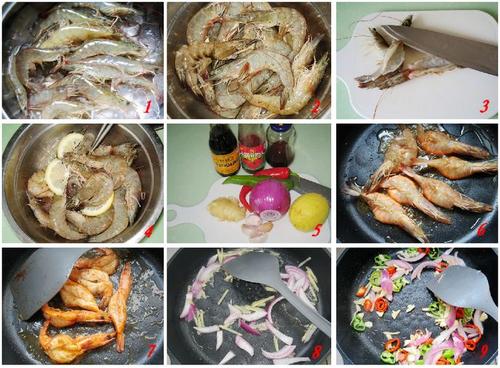 ����ΧϺ������