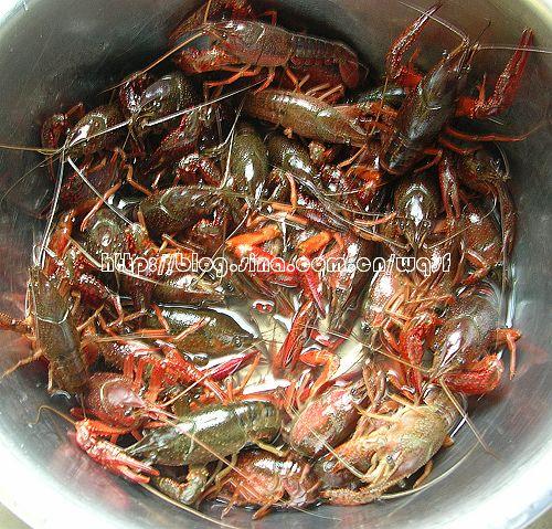 鲜煮小龙虾的做法