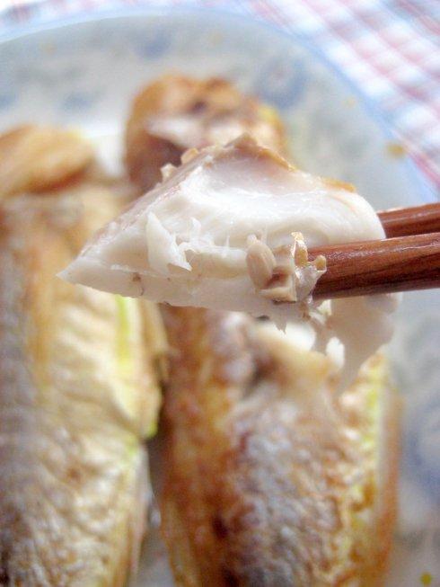 �ɼ��ɼ�������