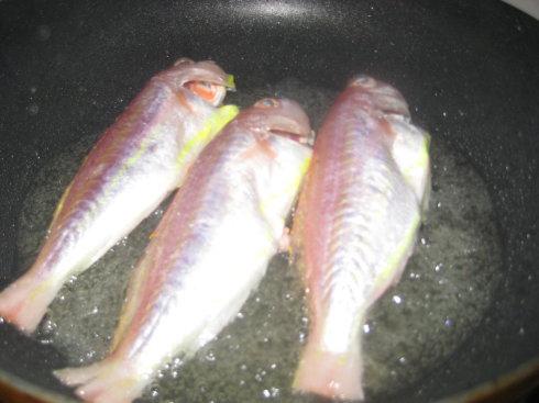 �ɼ��ɼ�������