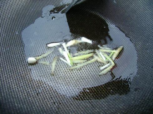 蒜蓉红椒蒸扇贝的做法