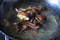 河蟹煲钉螺的做法