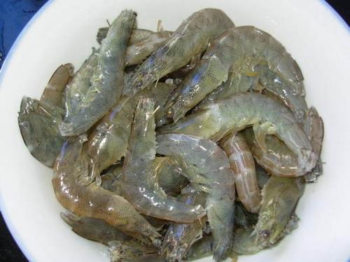 ���������ΧϺ������