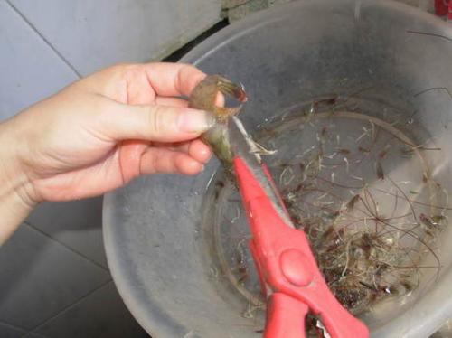 ���������ΧϺ������