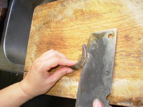 ���������ΧϺ������