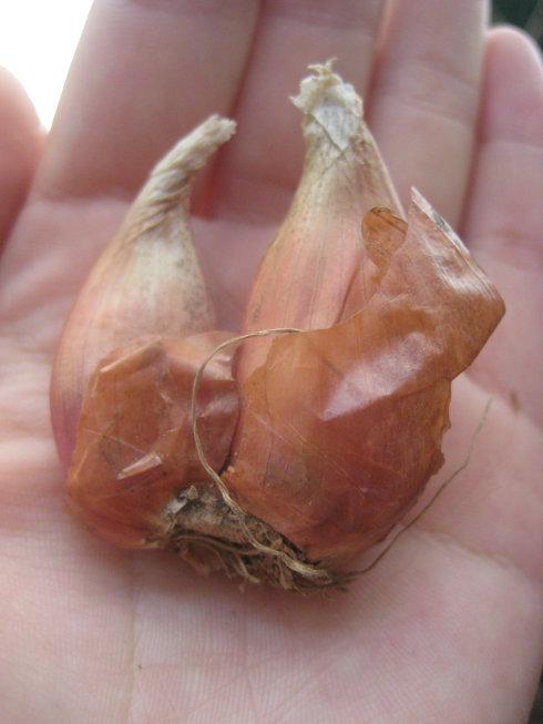 ���ͷ���˻ƻ��������