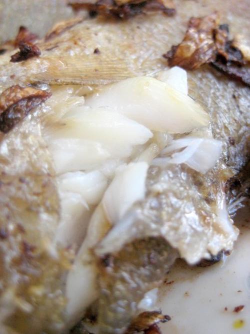 ���ͷ���˻ƻ��������