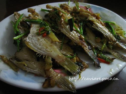 ��Ƥţ�ĳ�������������