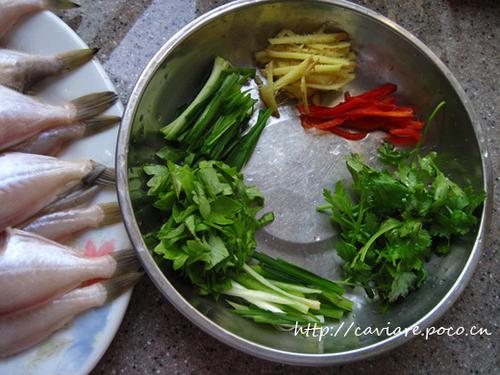 ��Ƥţ�ĳ�������������