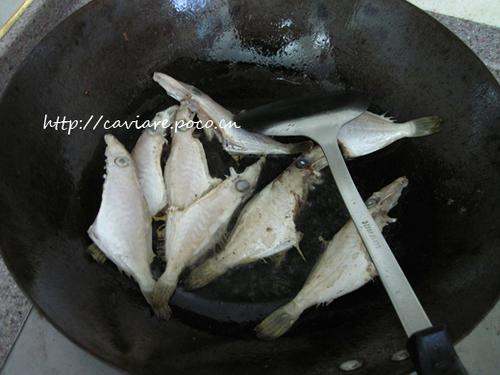 ��Ƥţ�ĳ�������������