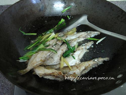 ��Ƥţ�ĳ�������������