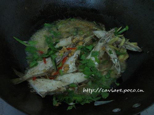 ��Ƥţ�ĳ�������������