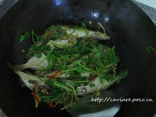 ��Ƥţ�ĳ�������������