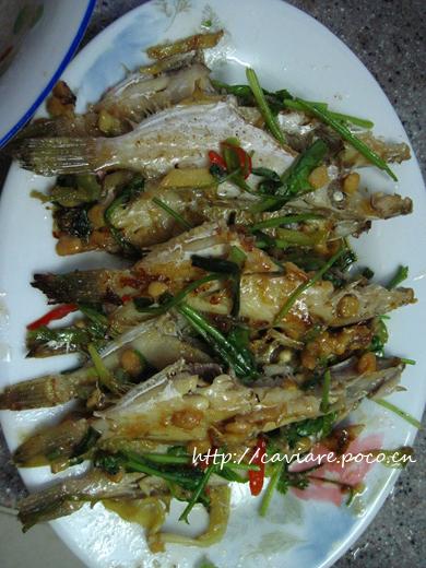 ��Ƥţ�ĳ�������������