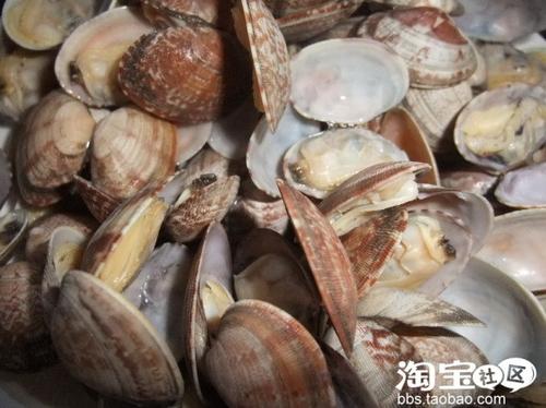 ơ�ƻ��������