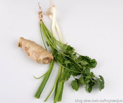 з��ⶬ�׵�����