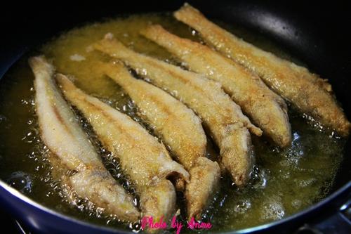 ����ɳ���������