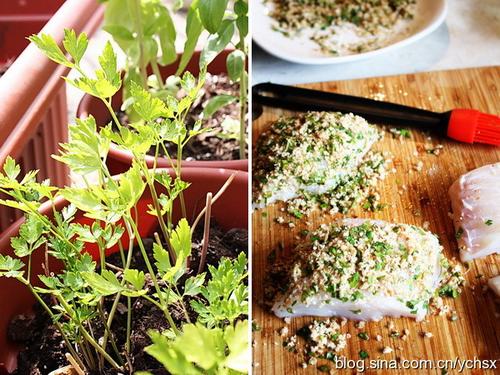 �����Ƥ���������