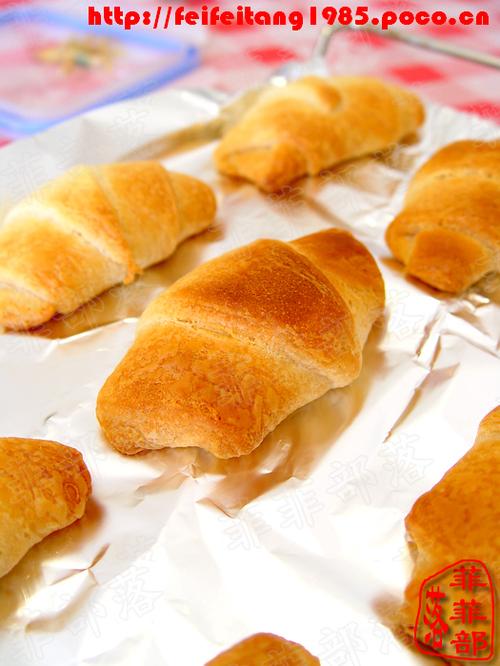 ������˿������