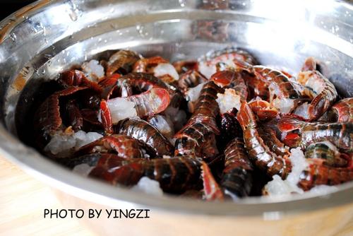 ʮ����ơ����Ϻ������