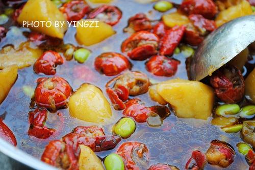 ʮ����ơ����Ϻ������