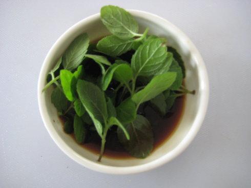 �������ͼ�ʨͷ�������