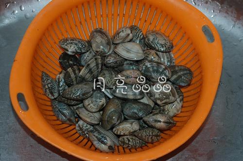 �������������